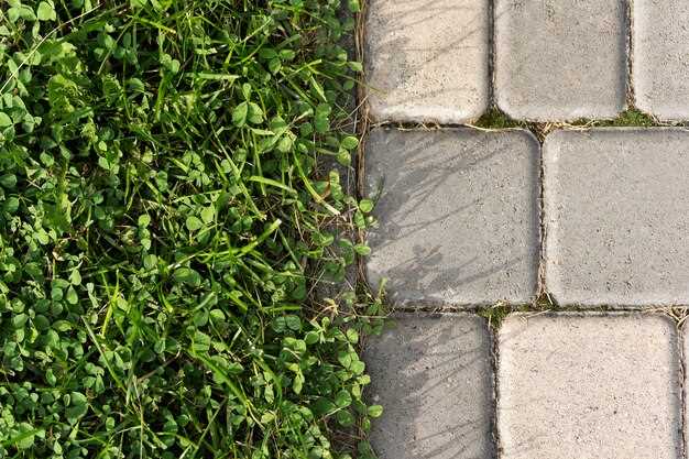 Which Types of Paving Units and Block Systems Are Suitable for a Grade-Change Structure (Segmental Blocks vs. Patio Units)