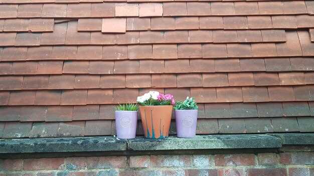 When Claims Get Rejected After a Soil Support Structure Fails