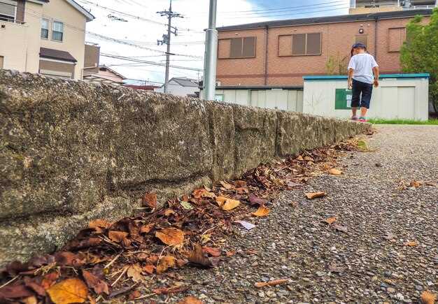 When Changes in Ground Level Create Structural Pressure on Buildings or Fences
