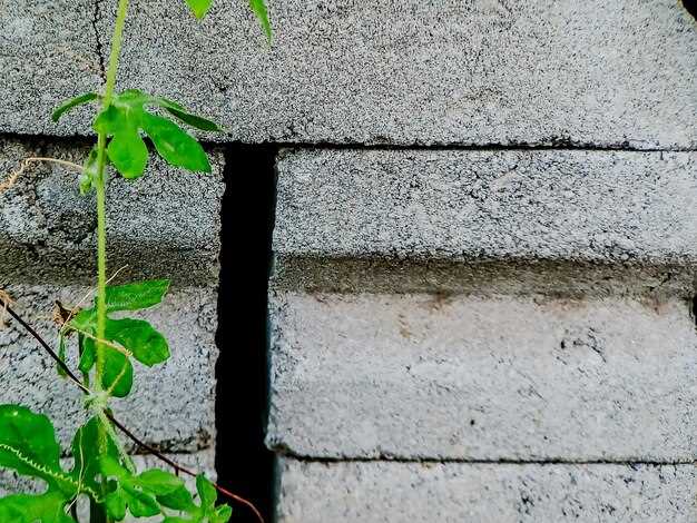 How to Tell If Your Garden Grade-Change Structure Should Get a Moisture Barrier