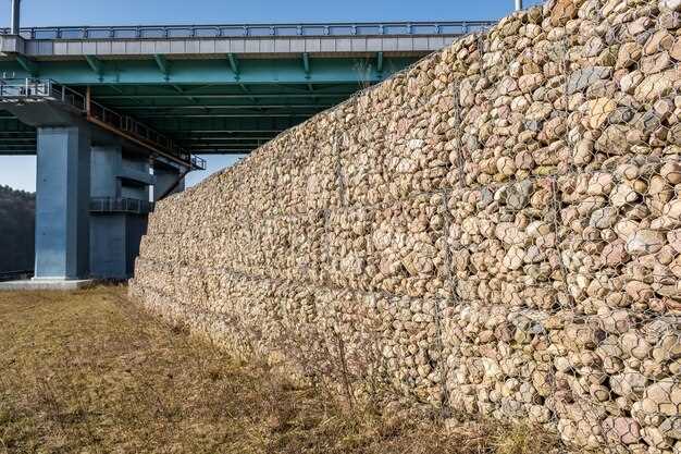 Drainage Behind the Rock Face