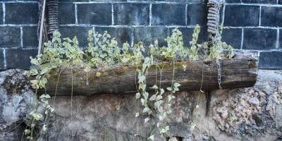 How to build a retaining wall