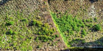 What are the 4 types of retaining walls