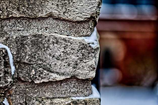 Drainage, freeze–thaw, and soil shift: low-maintenance options