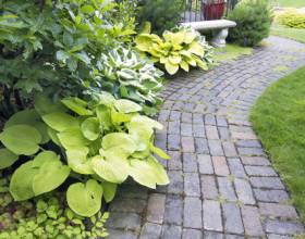 Patios, residential and commercial services