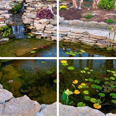 pond, residential landscaping services