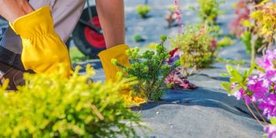 Important Questions to Ask Your Landscape Contractor