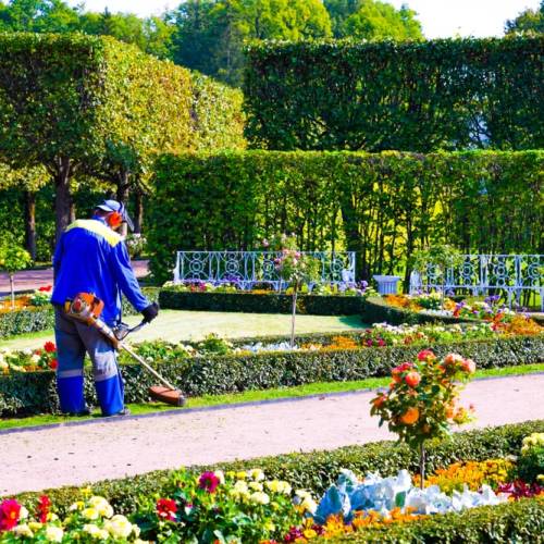 Property Maintenance Calgary