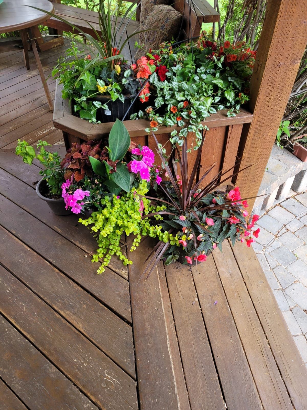Custom wood deck styled with colourful potted plants at a Calgary home by Sungreen.