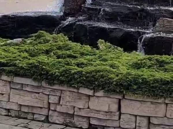 formal stacked-stone water feature spilling over a planted stone wall onto a paver courtyard, by Sungreen