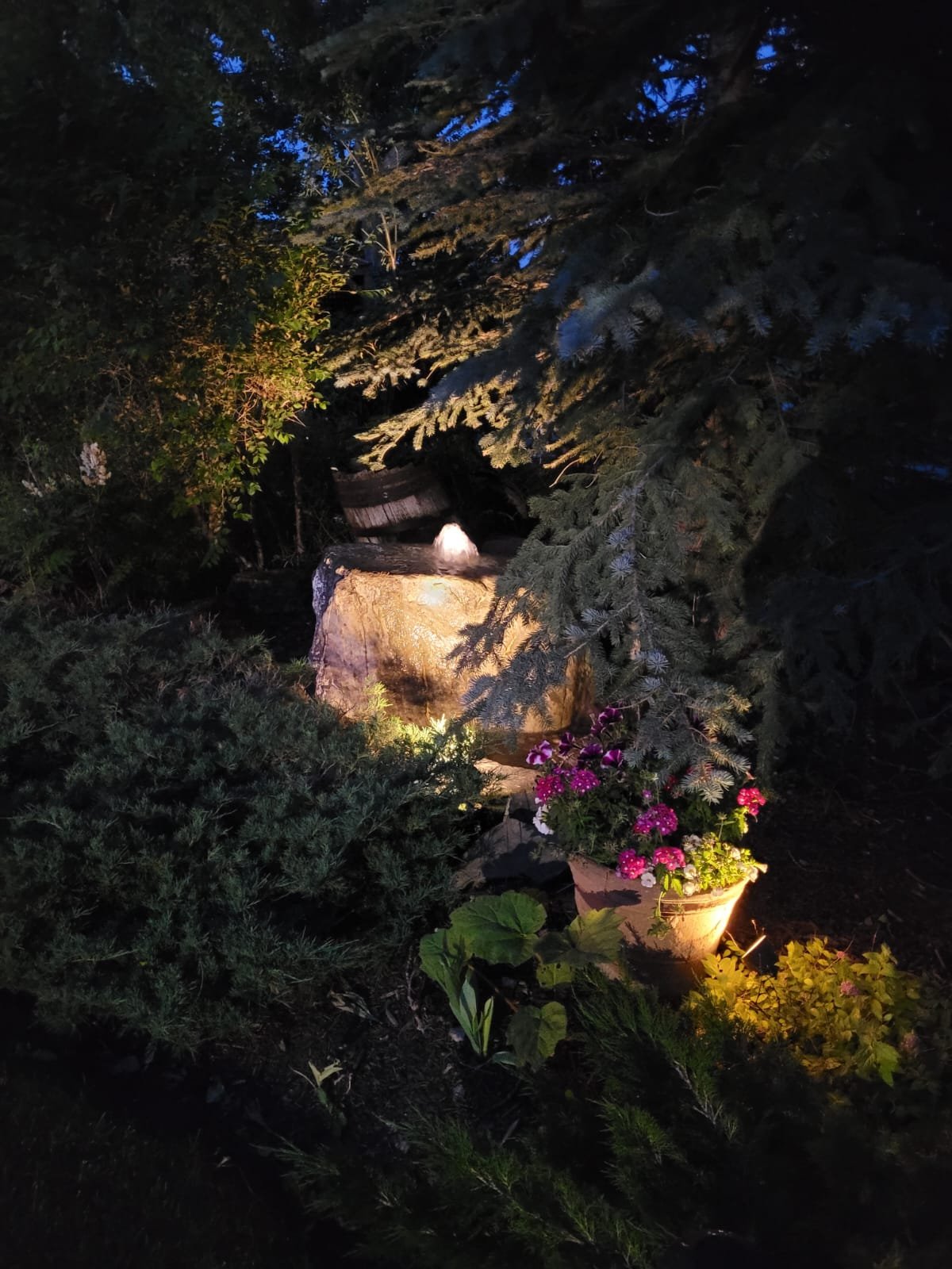 Landscape lighting illuminating a tree and garden at night at a Calgary home by Sungreen.