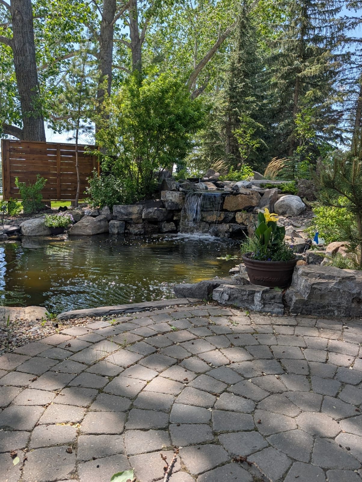 Paving-stone driveway in front of a Calgary home with a flowering tree, built by Sungreen.