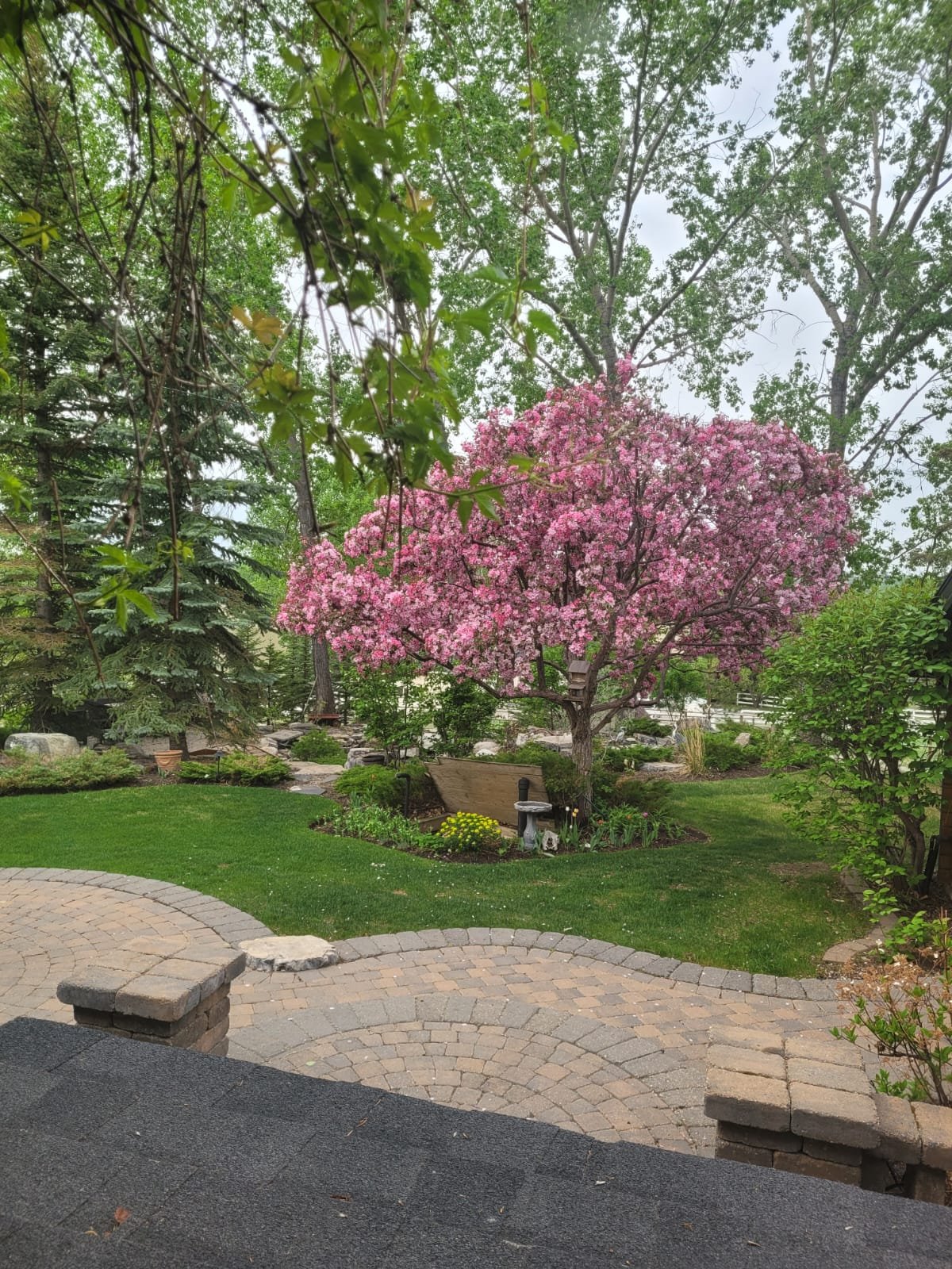 Flowering shrubs and a perennial bed beside stone steps in a Calgary garden by Sungreen.