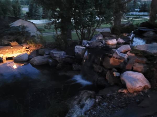 Pond and water feature lit at dusk in a Calgary-area yard by Sungreen.