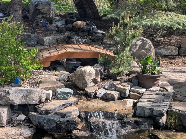 Backyard ecosystem pond with a waterfall and stone footbridge in Calgary by Sungreen.